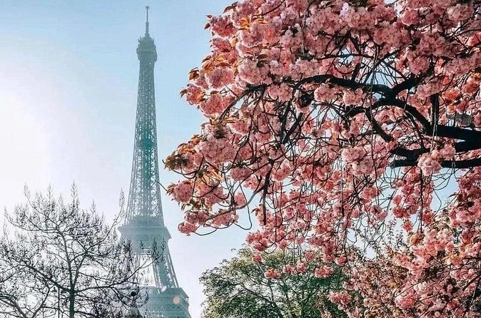 Eiffel Tower Guided Access up to the 2nd Floor or Summit by Lift - Price and value: is $66.28 worth it?